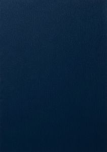 RENOLIT EXOFOL PX STEEL BLUE 5150 